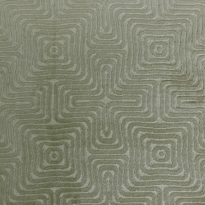 Wilson Maze Fern